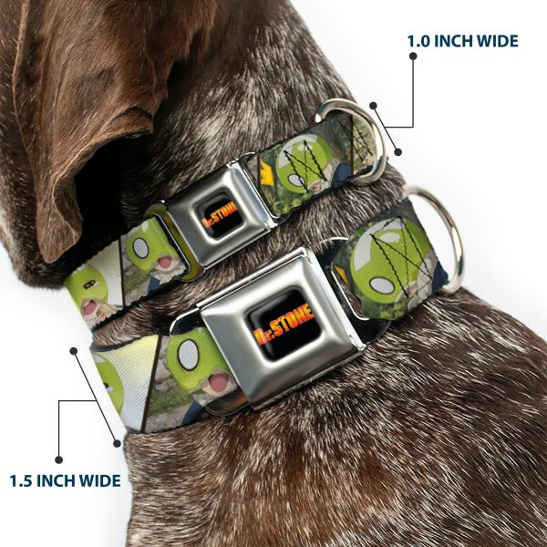 DR. STONE Title Logo Full Color Black Orange Seatbelt Buckle Collar - DR. STONE Title Logo and Suika Pose Blocks Online now - Image 2